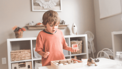 Montessori Toys for Toddlers